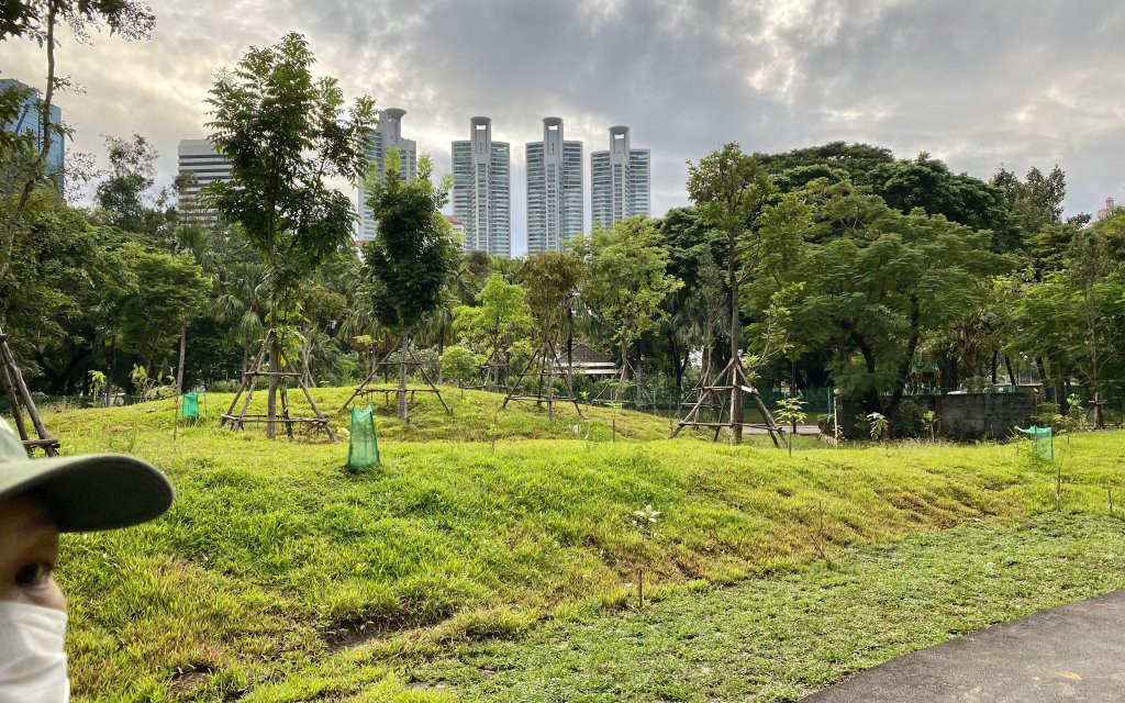 Benchakitti Forest Park in Bangkok