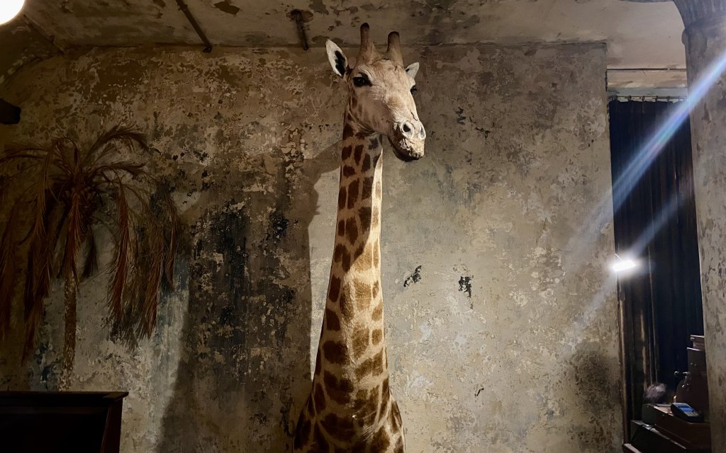 The Mustang Blu in Bangkok